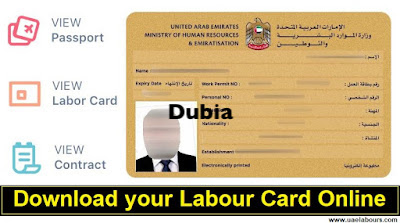 How to Check UAE Labour Card Online - Dubailabour