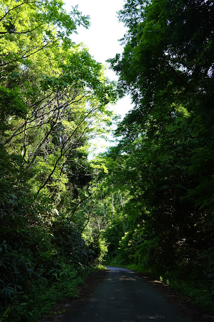 鳥取県西伯郡南部町東上 鎌倉山グリーンライン