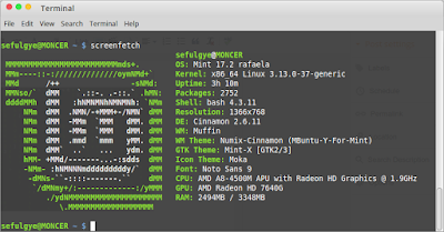 screenfecth Linux Terminal