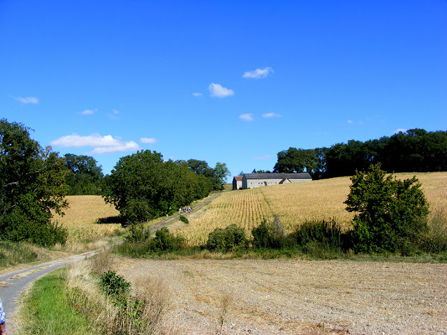 Photographed by Susan Walter. Tour the Loire Valley with a classic car and a private guide.