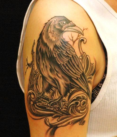 The Crow or Raven Tattoo Crow Tattoo