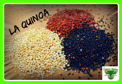 quinoa, buena alimentación, flores de bach, ayurveda, eter i terra, polaridad, alimentacion sana