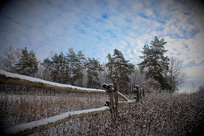 The Magnificent Beauty of Nature’s Landscapes Seen On www.coolpicturegallery.net