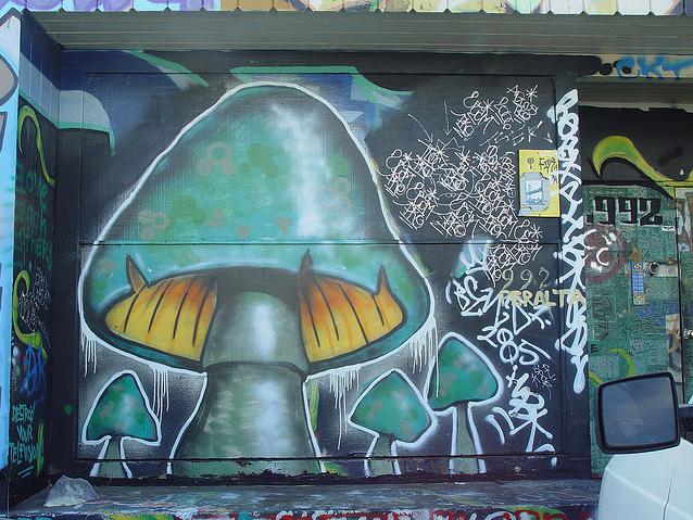 graffiti creator mushrooms in garage  graffiti art