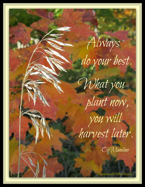 photo of: Autumn Quote: Always do Your Best 