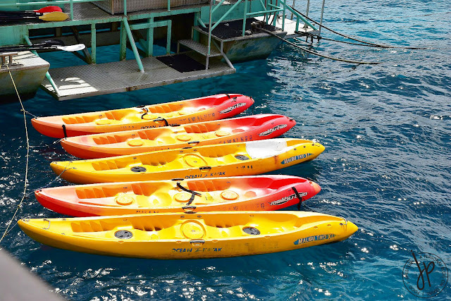 kayaks on ocean