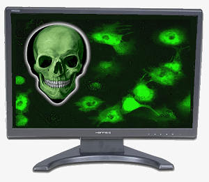 Virus computer