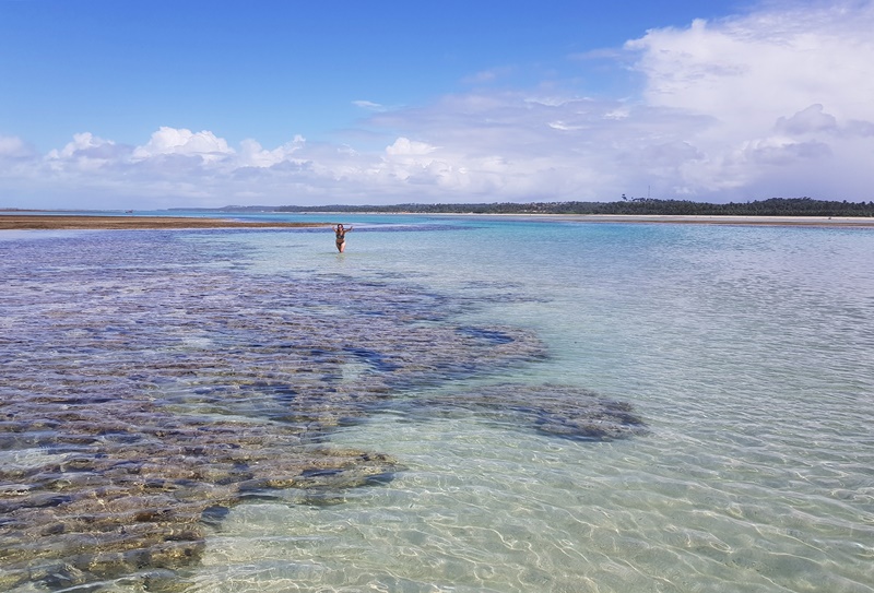 Dicas de São Miguel dos Milagres Alagoas