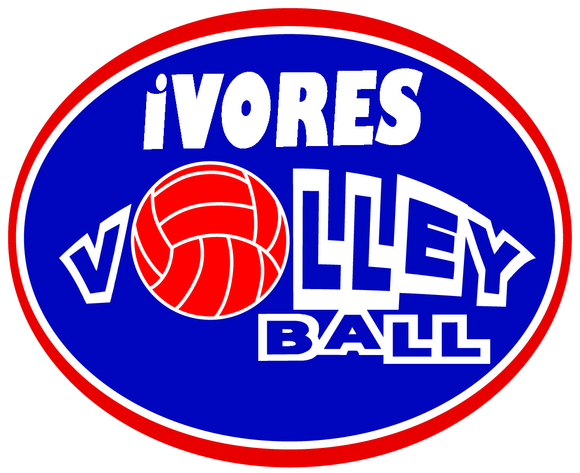 Team Volly Ball