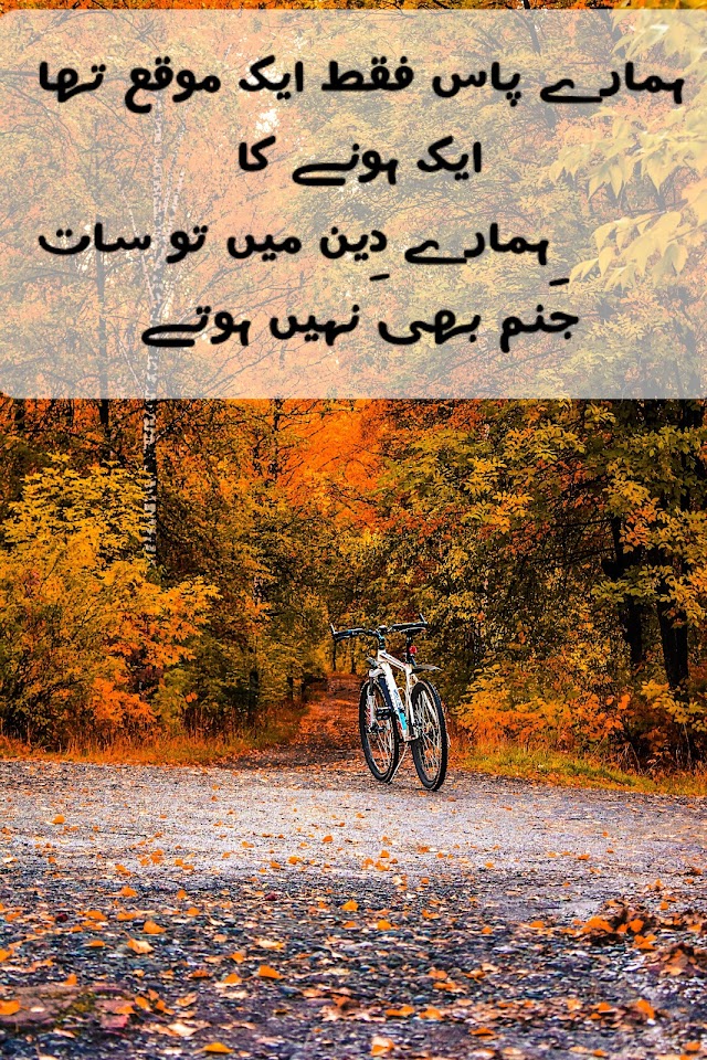 ‏ہمارے پاس فقط ایک موقع تھا ایک ہونے کا