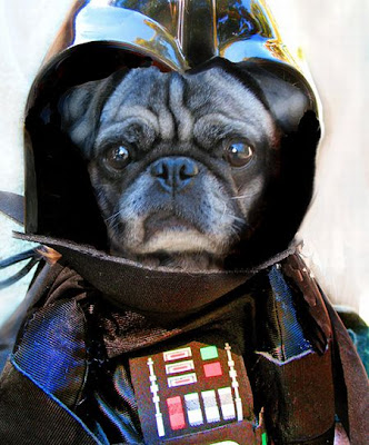 Roupas para Cachorros | Star Wars