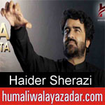 https://www.humaliwalayazadar.com/2012/11/haider-sherazi-nohay-2011-203.html