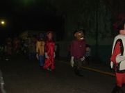 Desfile Paraisopolis (1)