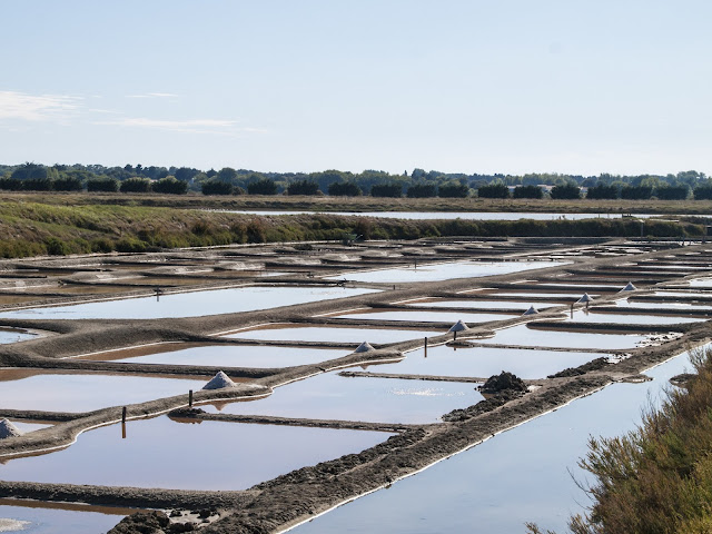 jiemve, Les Sables, Olonne, L'Ile, marais salants