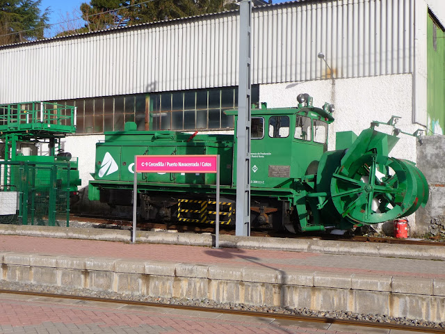 Tren de la Naturaleza. Excursiones Sierra de Madrid