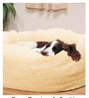 Dog Bed