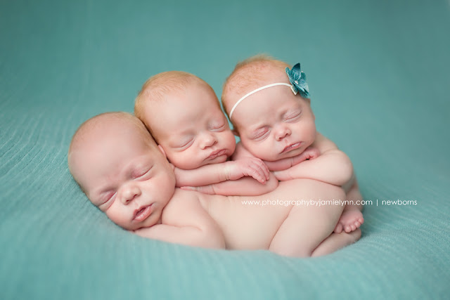 triplet newborns posed on netherland capri blanket in studio