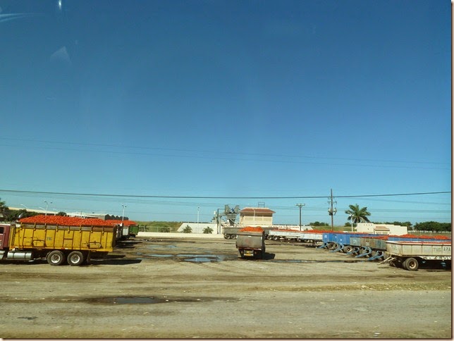 P1060364