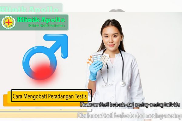 Cara Mengobati Peradangan Testis Akibat Infeksi Bakteri dan Virus