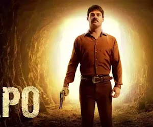 El Chapo - Serie Completa [Temporada 1-3] Latino | Descargar MEGA