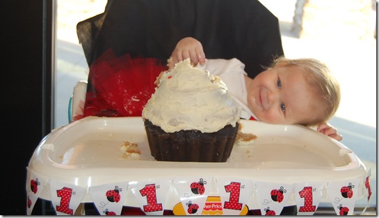 Bailey's 1st Birthday! 143