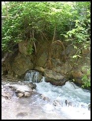 P1010371