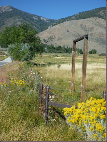 Autumn in Carson (8)