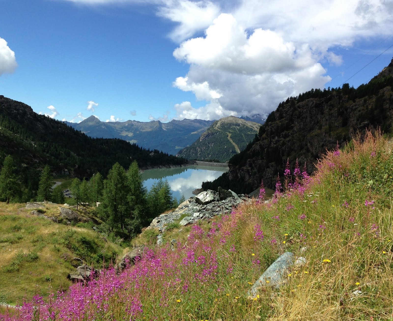 #nature #campomoro #valmalenco
