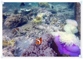 hidden paradise Pulau Pahawang