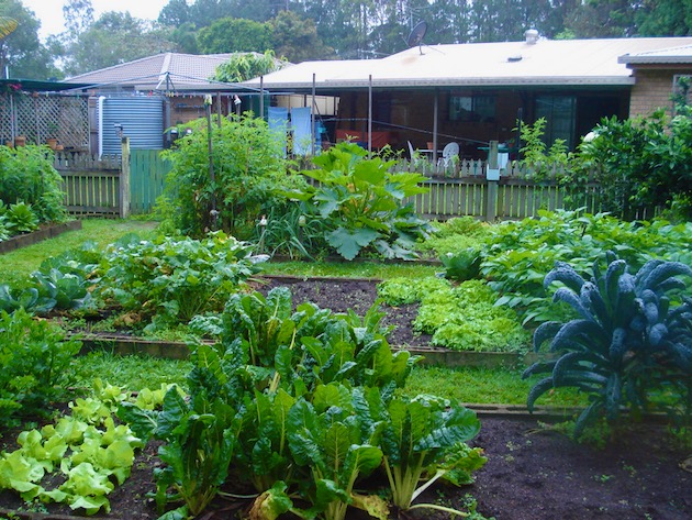 Our cottage garden