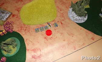 DSCF7884