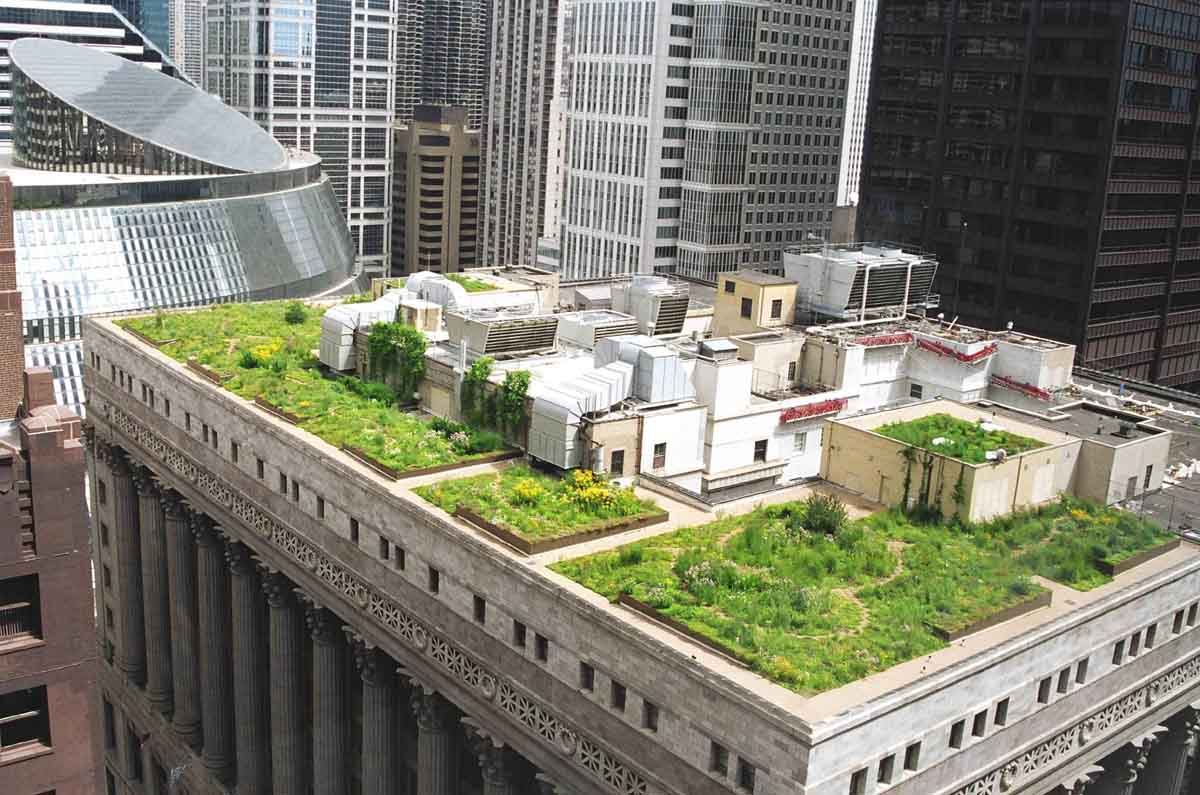 Roof Garden Design