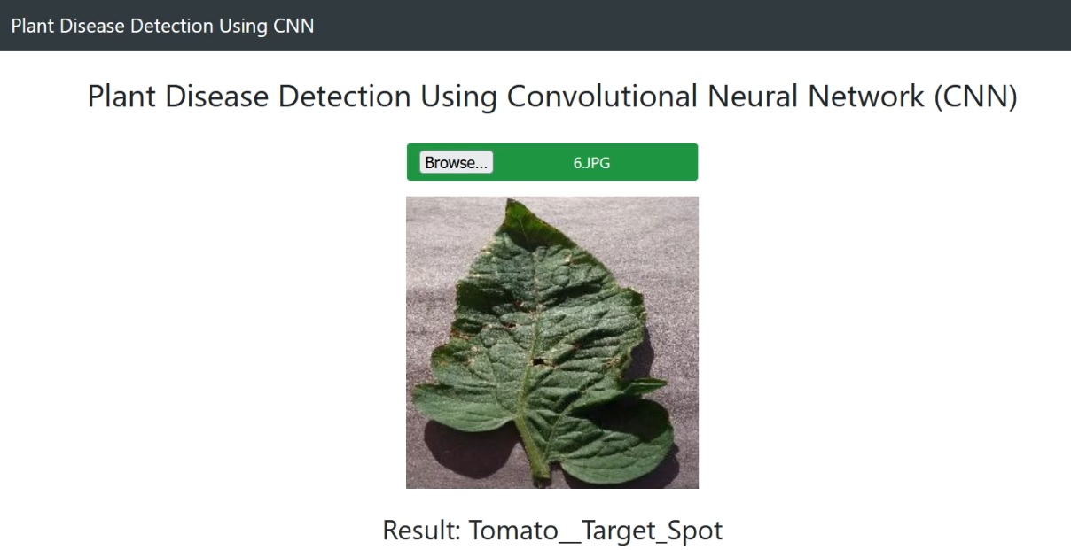 Plant Disease Detection Using CNN (Convolutional Neural Network) Python ...