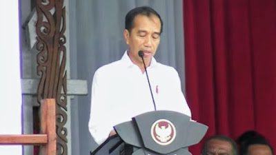 Presiden Jokowi : Teluk Cenderawasih Papua Memiliki Ekosistem Laut Paling Kaya di Indonesia