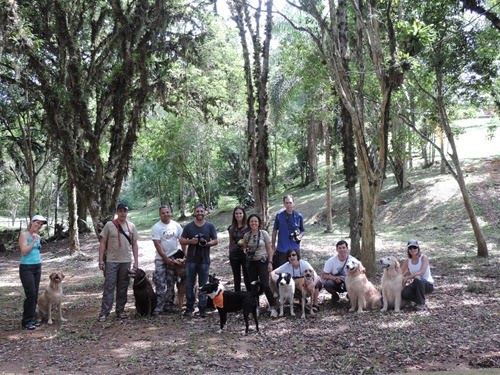 Cães em foco 1 (91)