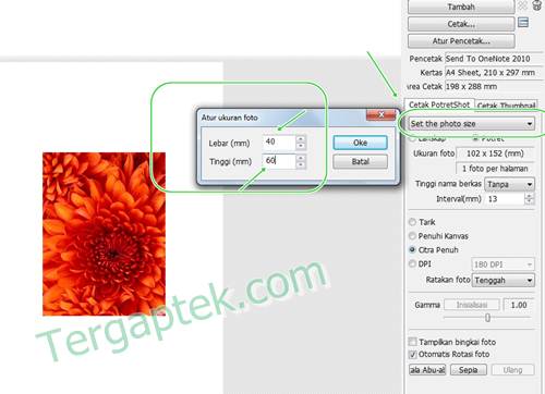 Cara merubah ukuran photo dengan photoscape ~ *°ºð 