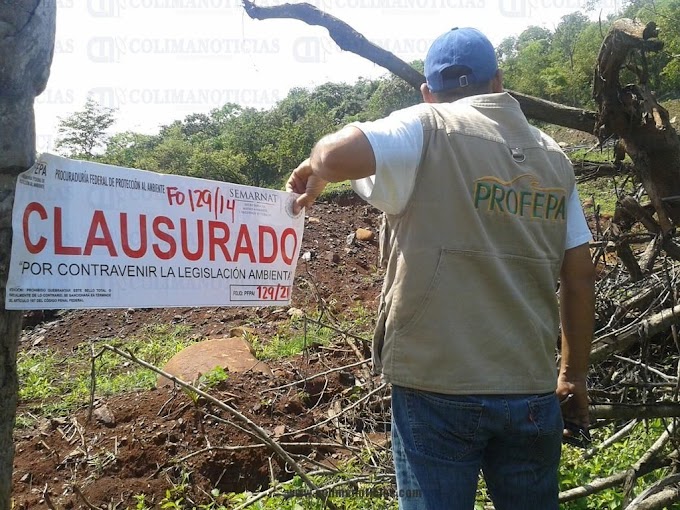 Estados/// Profepa clausura basurero en zona de humedal en Yucatán