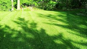 lawn shadows