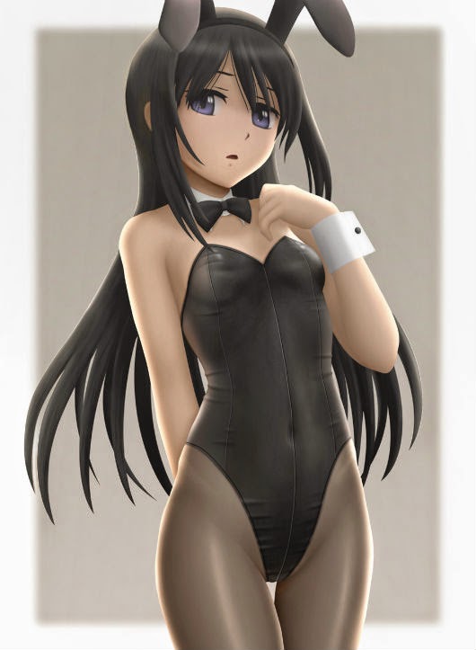 We posted a fun toy for fans of bunny girls, so here’s some Homu Homu bunny girl art.