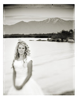 Brandon Allen Photography - Black and White Large Format Photos