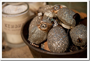 Christmas Ornaments 2011-3620