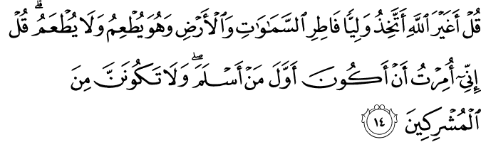 Surat Al-An'am Ayat 14
