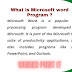 What is Microsoft Word Program ?