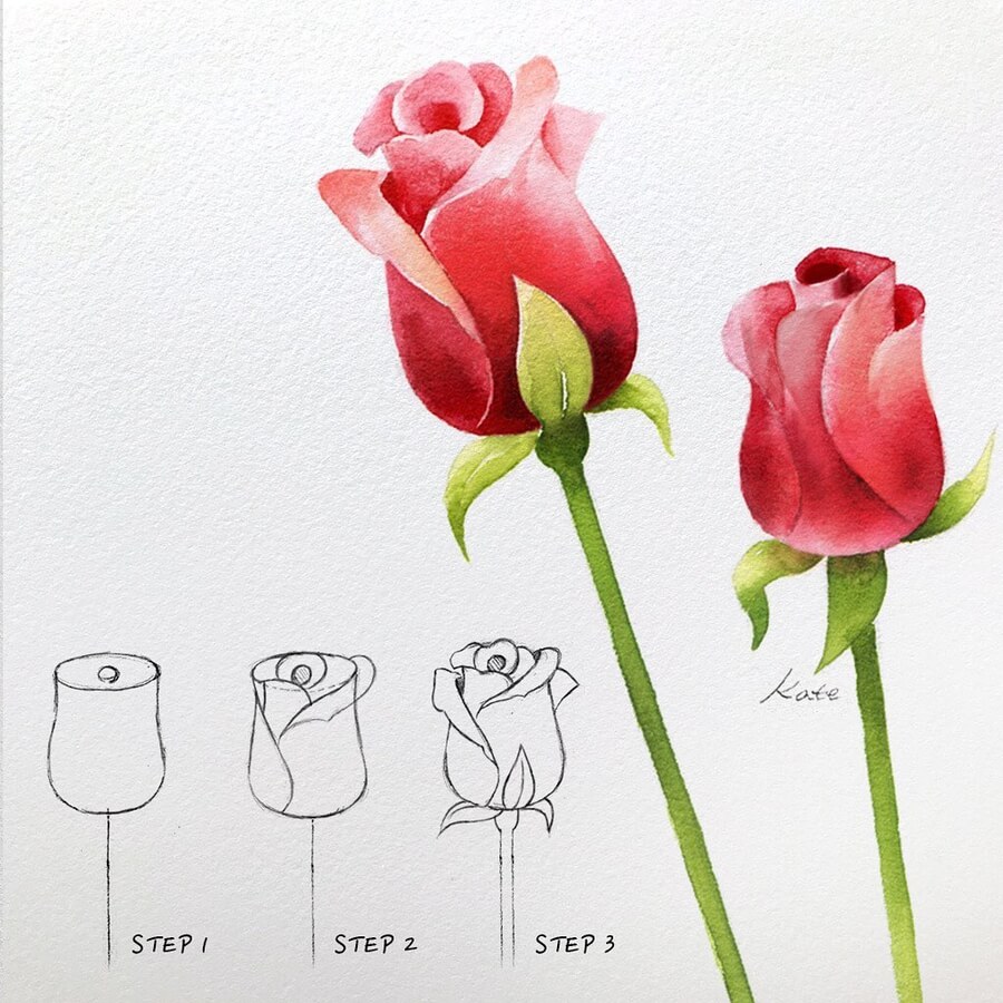 05-Rose-Buds-Kate-Kyehyun-Park-www-designstack-co
