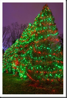 2011Dec31-Brookside-Gardens-60