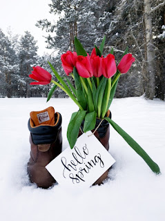 Frühling auf der Flucht, der Winter ist zurück, schnee, stürme, regen, unwetter, natur, sehnsucht nach liebe, einsamkeit, verliebtheit, menschen, frühlingsgefühle, kalte luft, machtübergabe, herrschaft, poesie, lyrik, foto, 