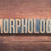 Morphology: Exploring types of Morphemes, Morphological Analysis, Word Formation and Lexical Structure in Linguistics
