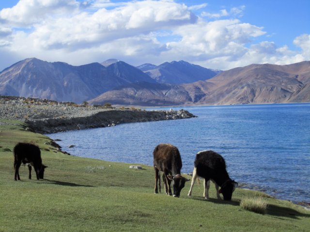 View at Pangong Tso