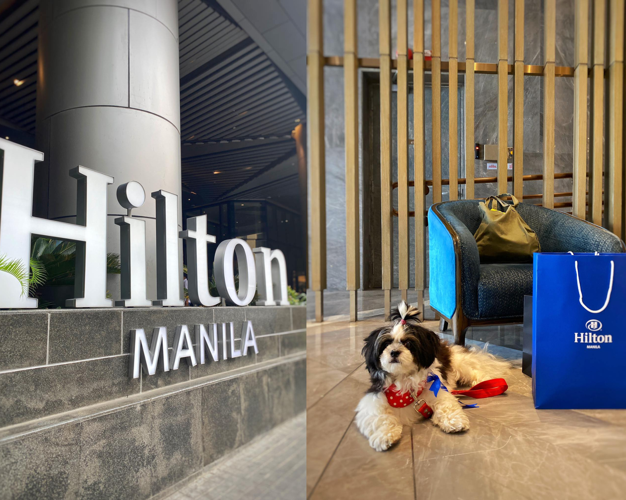 hilton manila pasay