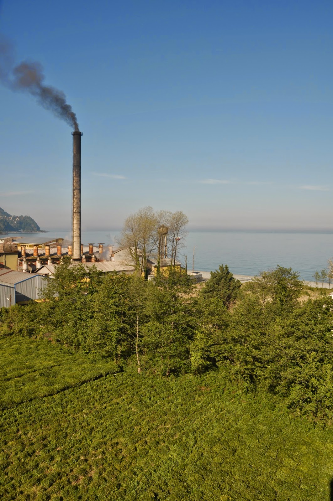 Türkiye'de Gezilecek Yerler: Artvin